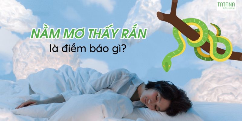 Giải mã giấc mơ nằm thấy rắn